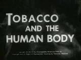 Tobacco and the human body 1954
