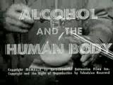 Alcohol and the human body 1949